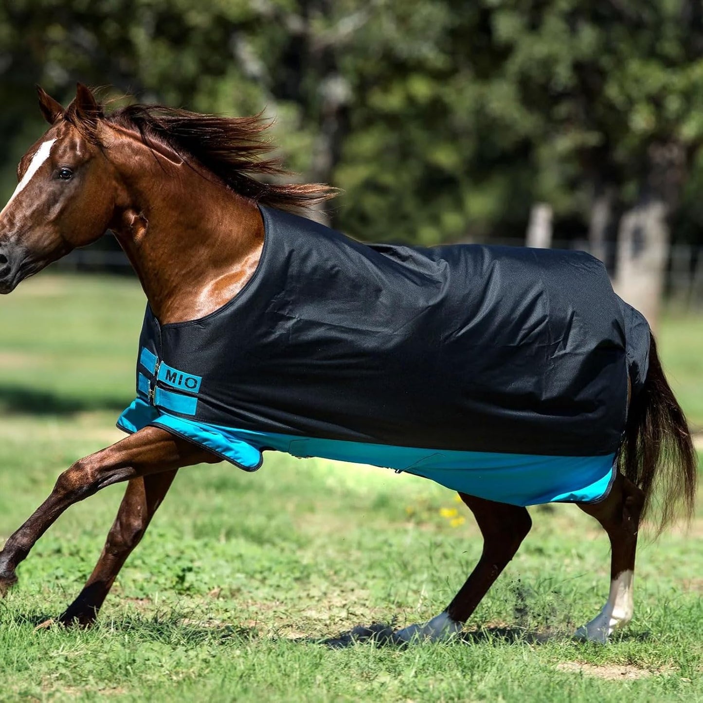 AMIGO Mio Turnout Sheet Lite Black/Turquoise/Black 81