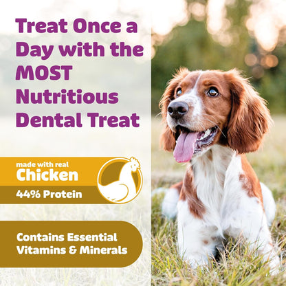 Yummy Combs Dog Dental Treats – Vet VOHC Approved – Delicious Chicken Protein – Removes Tartar with Cleaning Comb Shape – Dental Dog Treats for Extra Small Dogs (24oz, 96 Count)