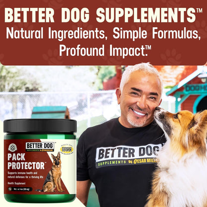 Better Dog Supplements Pack Protector by Cesar Millan – Natural Immune Support Powder for Dogs – Daily Immunity, Vitality & Internal Balance with Herbal Antioxidant Blend – 4oz (60-Day Supply)