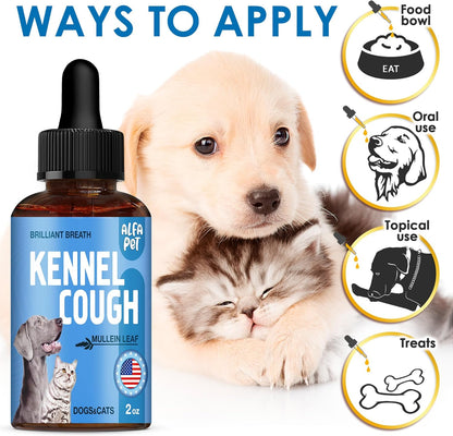 Dog Cough Treatment Liquid • Kennel Cough Medicine for Dogs & Cats • For Breathing During All Life Cycle • Marshmallow Root + Mullein Leaf in the Composition • Natural Supplement for All Breeds • 2 Oz
