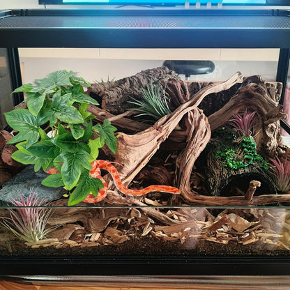 VCEPJH 2 Pack Reptile Wood Branches, Snake Climbing Branch Natural Bearded Dragon Log and Plants with Suction Cup Amphibian Habitat Decor 2 Pcs Artificial Leaves for Bearded Dragon, Lizard, Snake