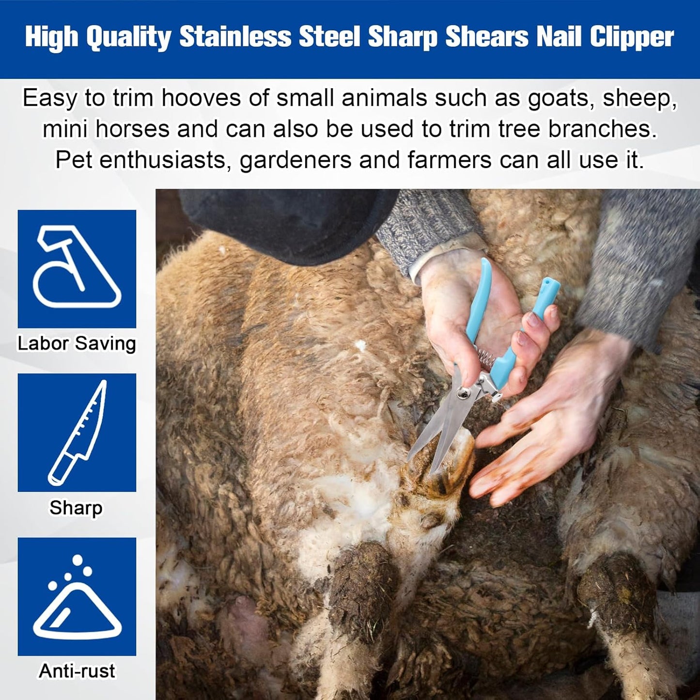 10 Inch 8 Pcs Farrier Tools, Horse Goat Hoof Trimmers for Goats and Sheep with Carbon Steel Nipper, Shears Nail Clipper, Rasp File, Hoof Trimming Cutter Knives, Horseshoe Brush, Storage Bag