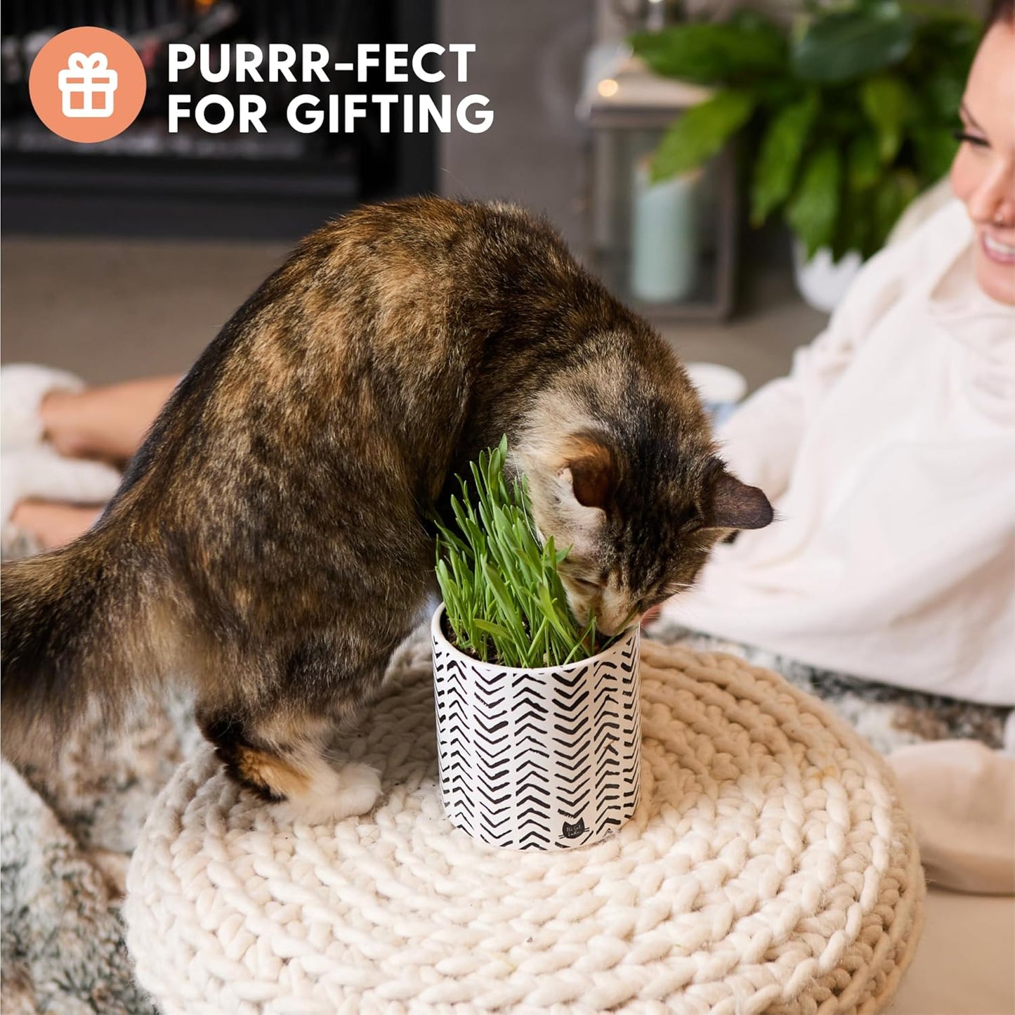 The Cat Ladies Organic Cat Grass for Indoor Cats - Growing Kit with Organic Seed Mix, Soil and Boho Planter with Bamboo Tray. Natural Hairball Control and Digestion Remedy, Cat Gifts