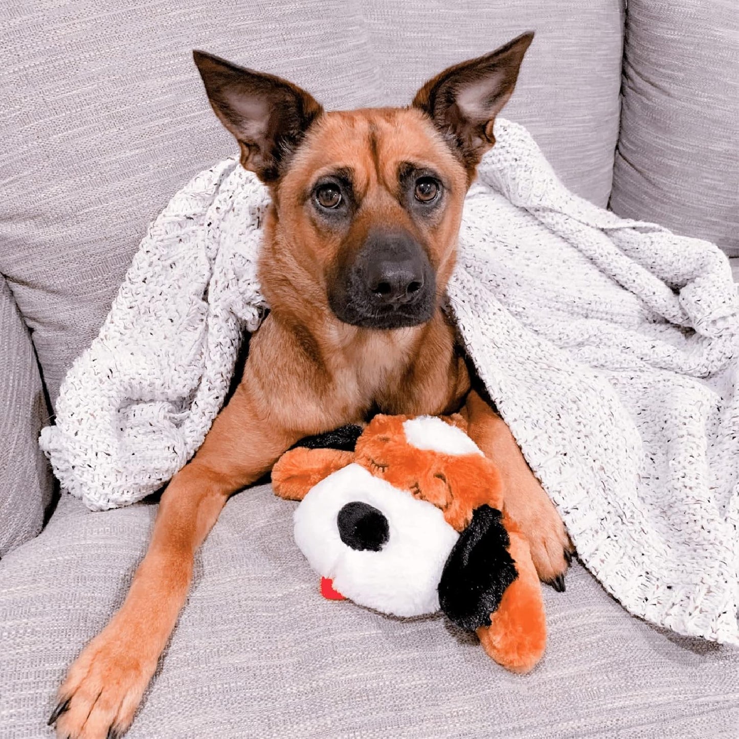 Original Snuggle Puppy Heartbeat Puppy Toy - Heartbeat Puppy for Dogs - Pet Anxiety Relief and Calming Aid - Comfort Dog Toy - Behavioral Training and Sleep Aid Cuddle buddy - Crate Training Essential