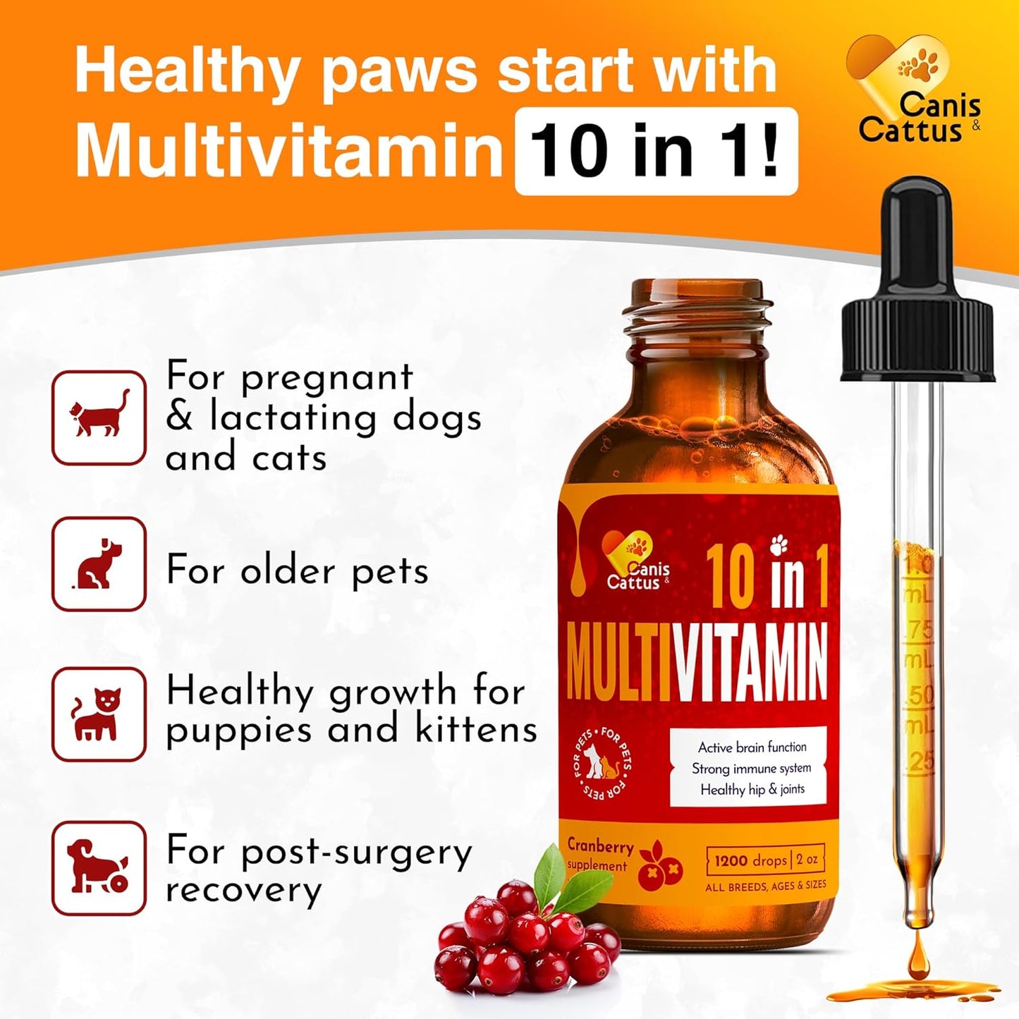 Liquid Cat & Dog Vitamins – Dog Antibiotics for All Pets – Bundle of 10 in 1 Cat & Dog Multivitamin + Antibiotic Supplement – Cough, Allergy, Sneezing, Joint Care – Vitamin C, D, B – Bottle Set x 2 oz