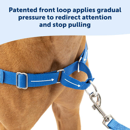 PetSafe Easy Walk No-Pull Dog Harness - The Ultimate Harness to Help Stop Pulling - Take Control & Teach Better Leash Manners - Helps Prevent Pets Pulling on Walks, Medium/Large, Raspberry/Gray