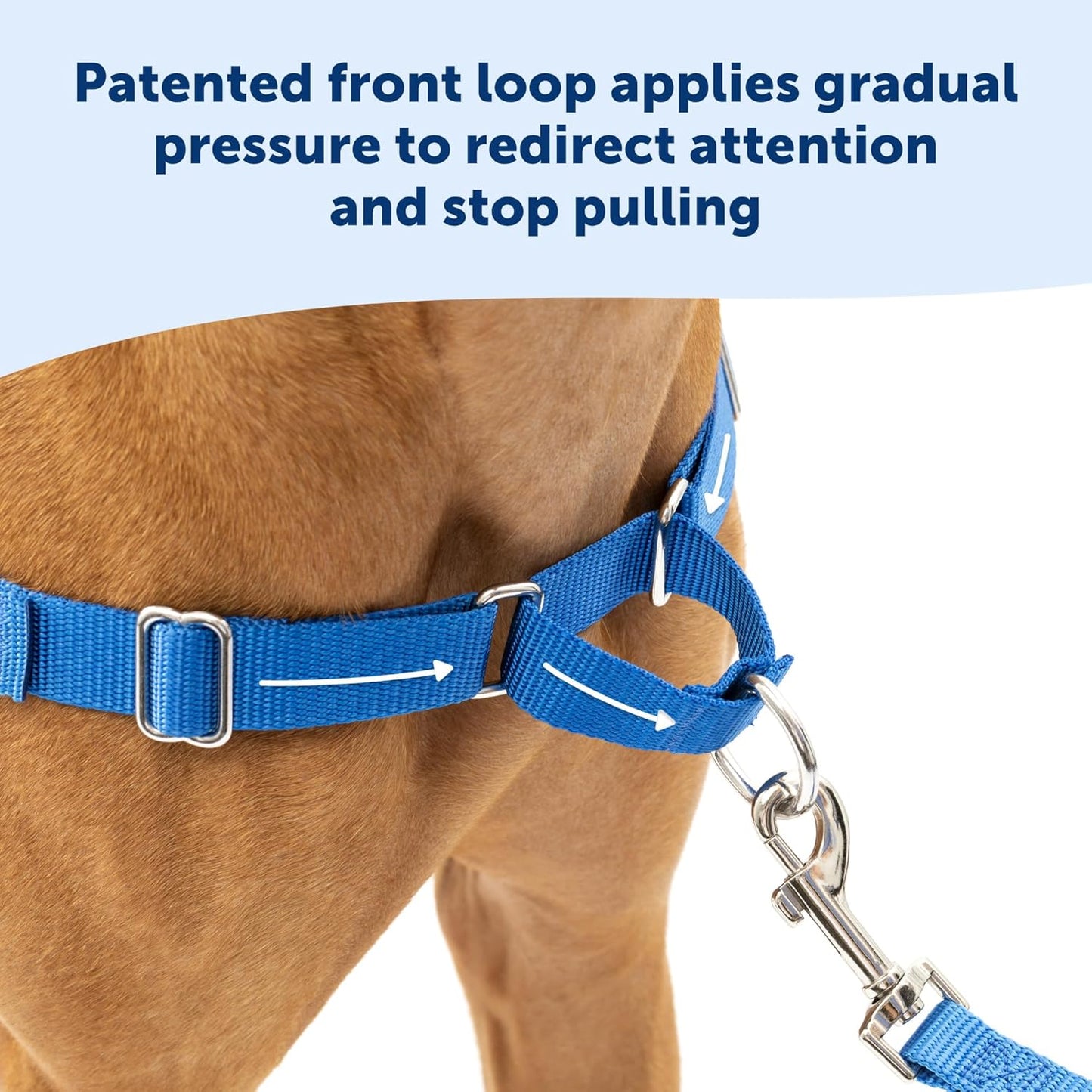 PetSafe Easy Walk Harness for Dogs - Pull-Free Walks - Patented Martingale Loop Design - Front Chest Leash Attachment - Comfort Straps - Breathable Harness Design - Small, Teal/Gray