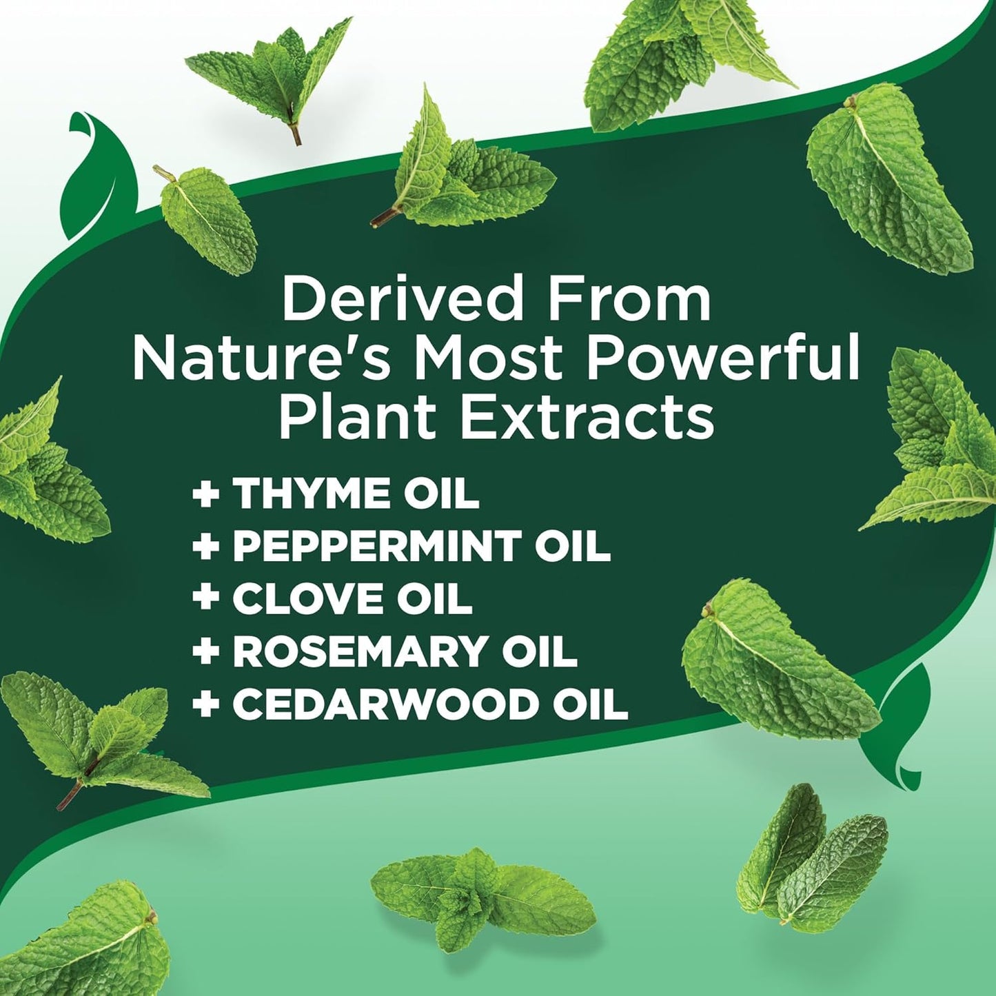 Vet’s Best Flea and Tick Shampoo for Dogs – Advanced Strength Plant-Based Formula for Flea Treatment and Prevention, Natural Flea Bath and Tick Control, Vet Recommended, Made in USA, 12 oz