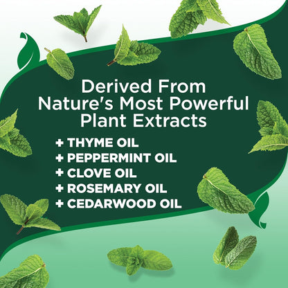 Vet’s Best Flea and Tick Shampoo for Dogs – Advanced Strength Plant-Based Formula for Flea Treatment and Prevention, Natural Flea Bath and Tick Control, Vet Recommended, Made in USA, 12 oz