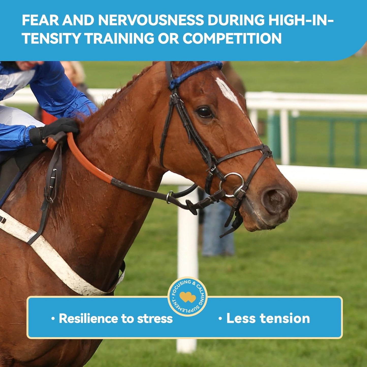 Calmative Taurine Supplement for Horses Enhance Focus and Concentration for Horse Health Focusing & Calming Taurine Powder Supplement 28-Day Supply