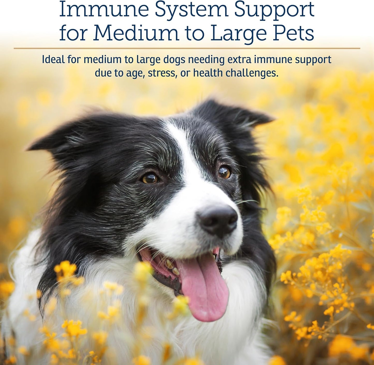 Rx Vitamins GlucaMune Forte - Immune Support Supplement with Beta Glucan for Dogs and Cats - Strengthens Natural Defenses for Overall Health - 60ct
