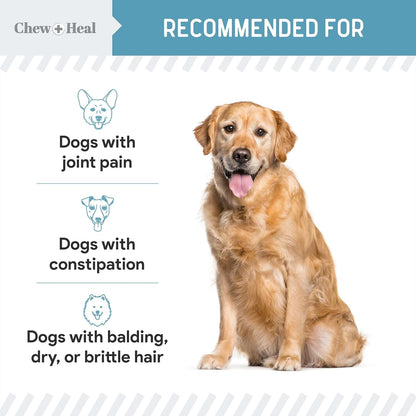 12-in-1 Multivitamin Powder for Dogs - 14 oz of Puppy and Senior Dog Vitamins and Supplements - Advanced Formula with Glucosamine, Omega 3,6,9, Vitamins, Probiotics, and More - Made in The USA