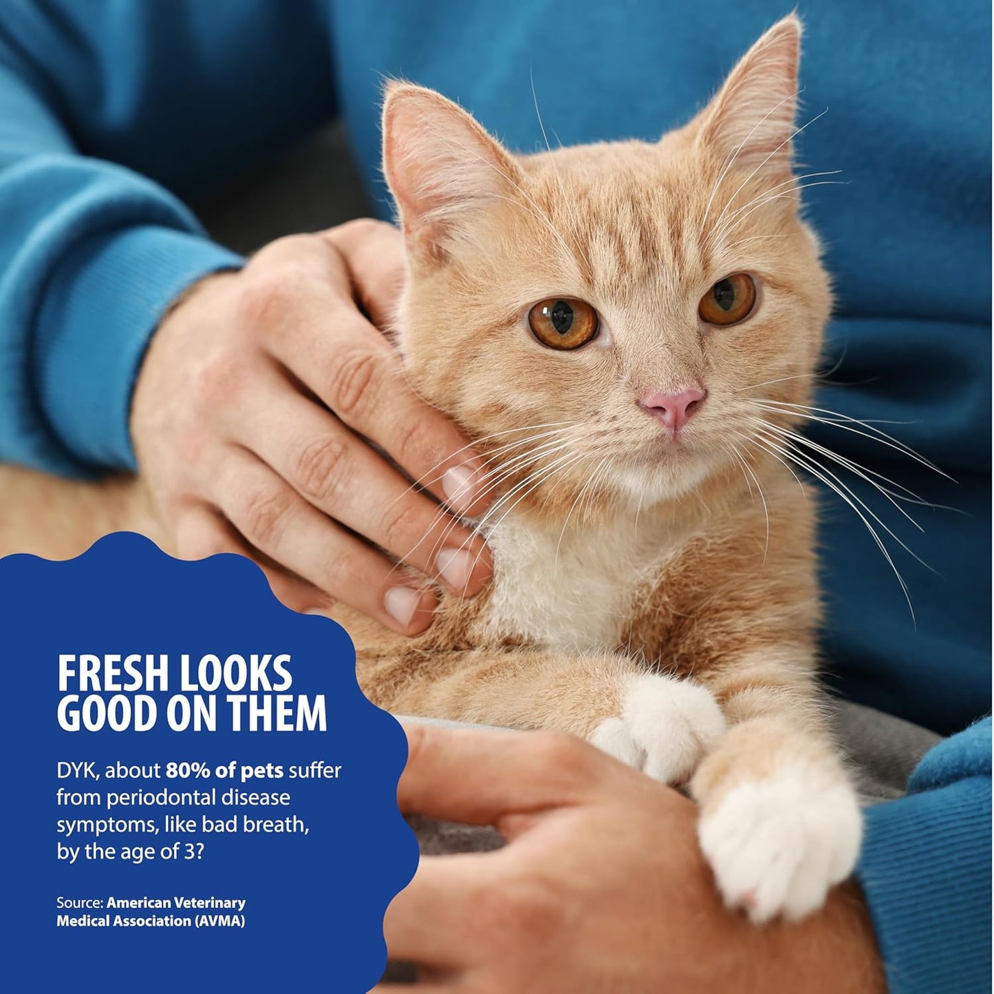 Dental Fresh Cat Water Additive, Tuna Flavor Dental Care – Easy Oral Care, Cleaner Teeth, Fresh Breath and Tartar Support for Cats