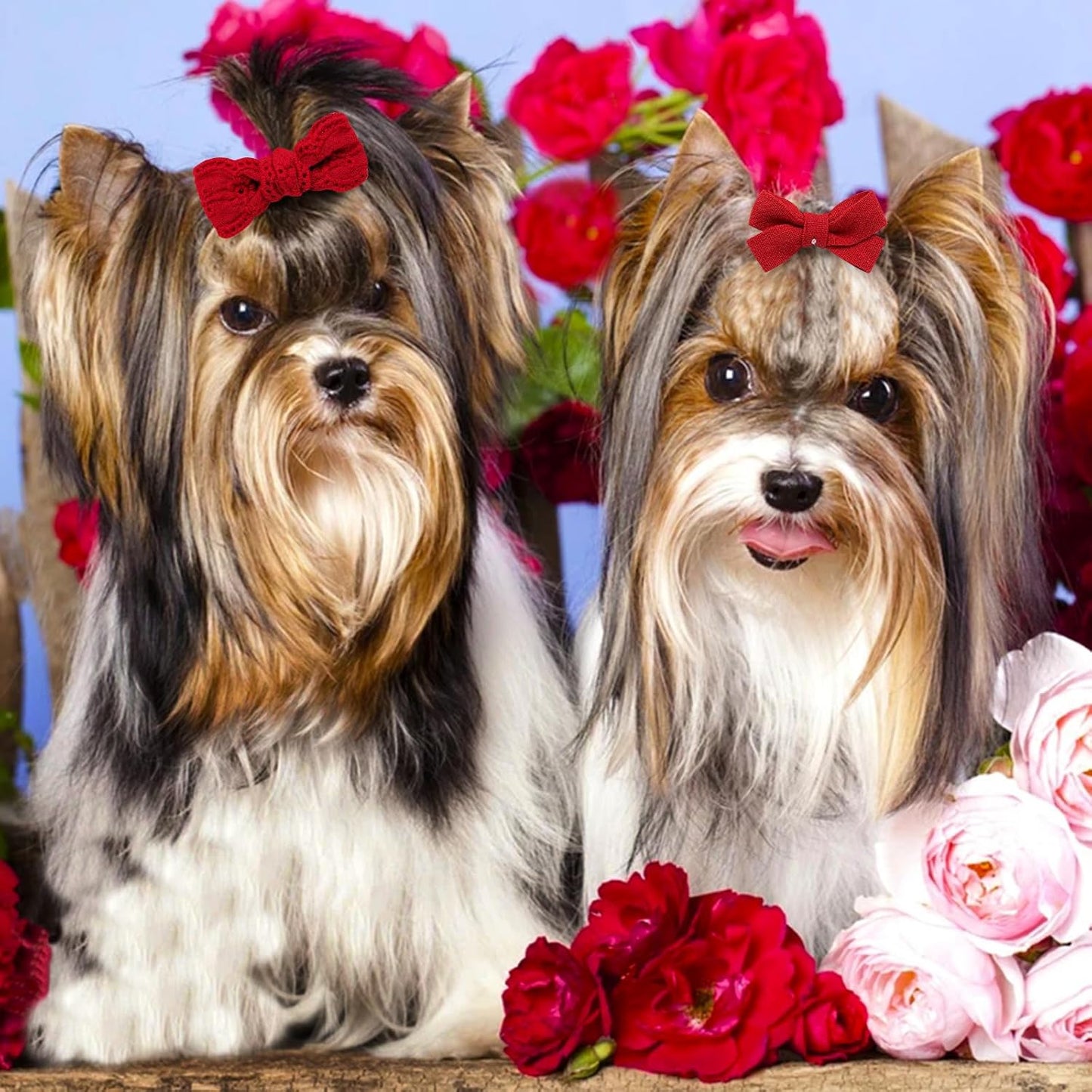 20pc Red Small Dog Hair Bows with Rubber Bands, Bulk Puppy Dog Hair Bows, Mix Handmade Cute Dog Gooming Flower Ball Bowknot Top Knot for Holiday Daily Yorkie Dog Hair Accessories