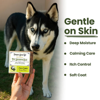 Project Sudz Spa Collection Bar Shampoo – Coco Limone | Solid Pet Shampoo Bar with Coconut & Lemon | Eco-Friendly, Plastic-Free, Gentle & Safe for Dogs & Cats