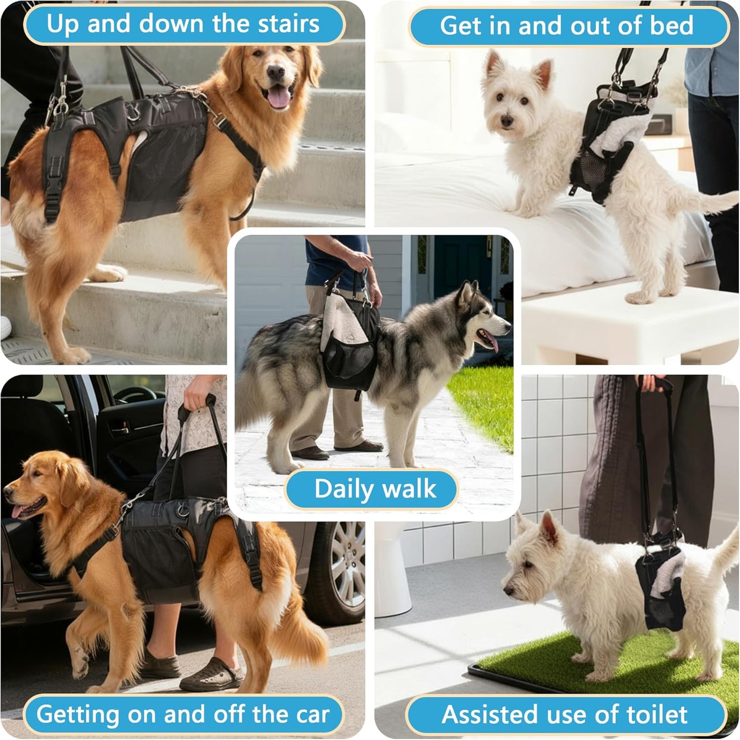 Dual-use Dog Lift Rehab Hareness Canine Sling for Small Pooch Rear Legs and Hip Support,Adjustable and Soft Brace Strap for After ACL Surgery, Helps Senior, Injured and Disabled K9