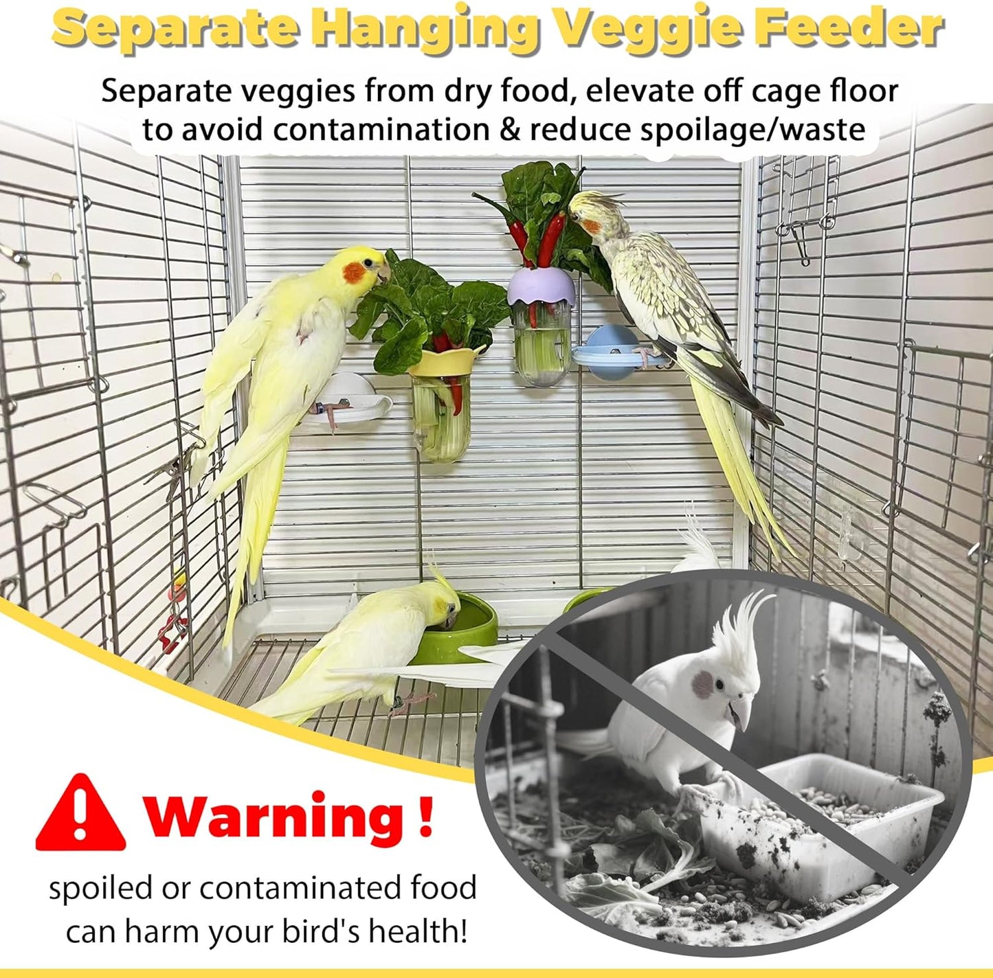 Stainless Steel Bird Perches & Feeder Set (2PCS) - Open-Grid Easy-Clean Perches with No-Spill Veggie Holders for Cockatiel, Conure, Budgie, Quaker