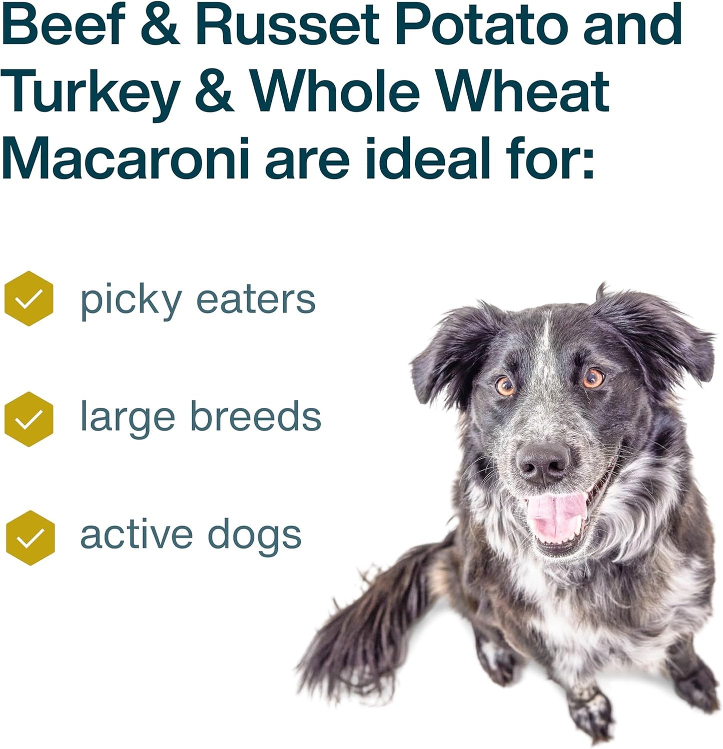 JustFoodForDogs Frozen Fresh Dog Food Topper Starter Pack, Beef & Turkey Human Grade Dog Food Recipes, 5.5 oz (Pack of 9)