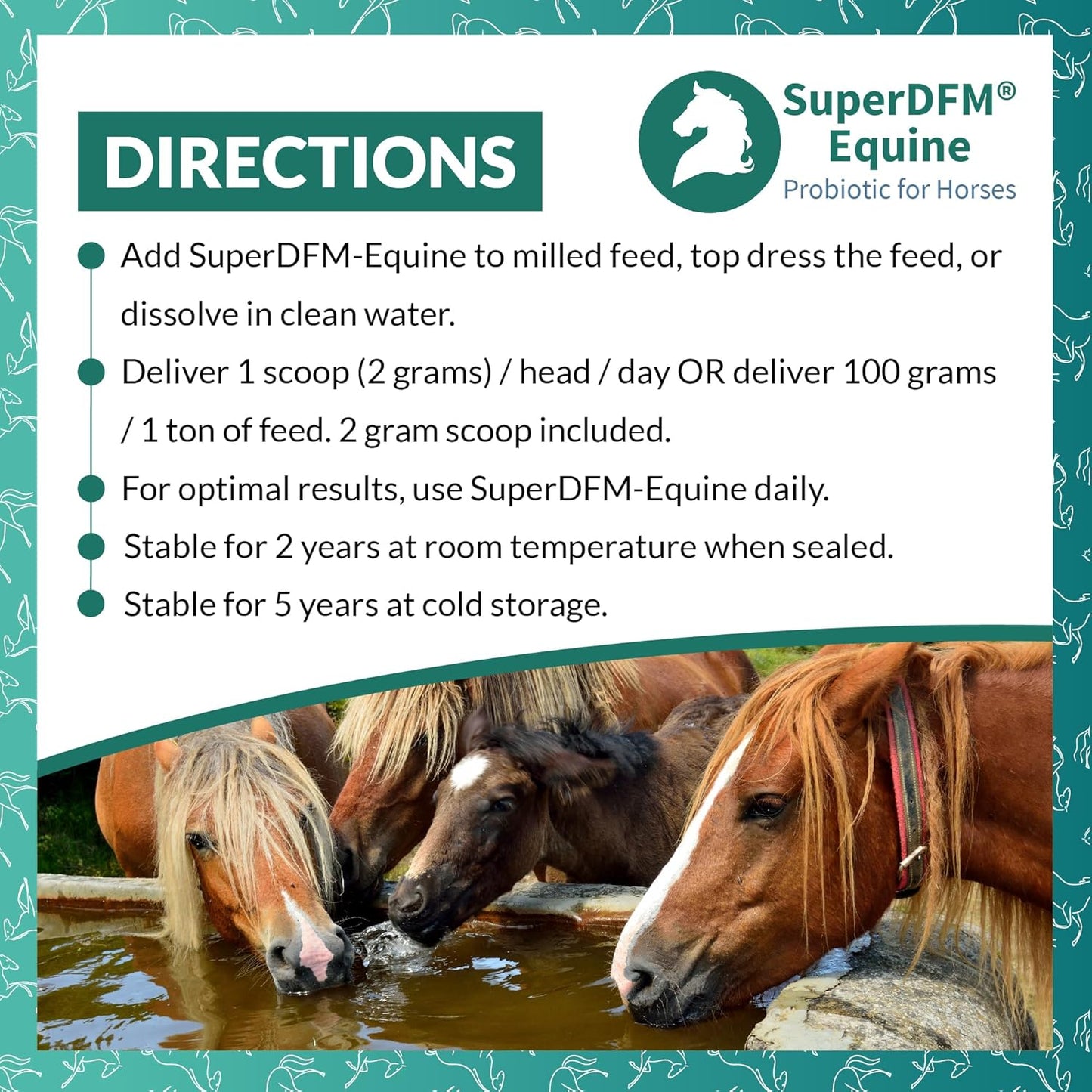 SuperDFM Equine Probiotics for Horses - All-Natural Horse Supplements to Support Gut Health & Nutrient Absorption - 1 lb (454 g) Approx. 224 Servings