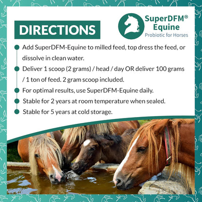 SuperDFM Equine Probiotics for Horses - All-Natural Horse Supplements to Support Gut Health & Nutrient Absorption - 1 lb (454 g) Approx. 224 Servings