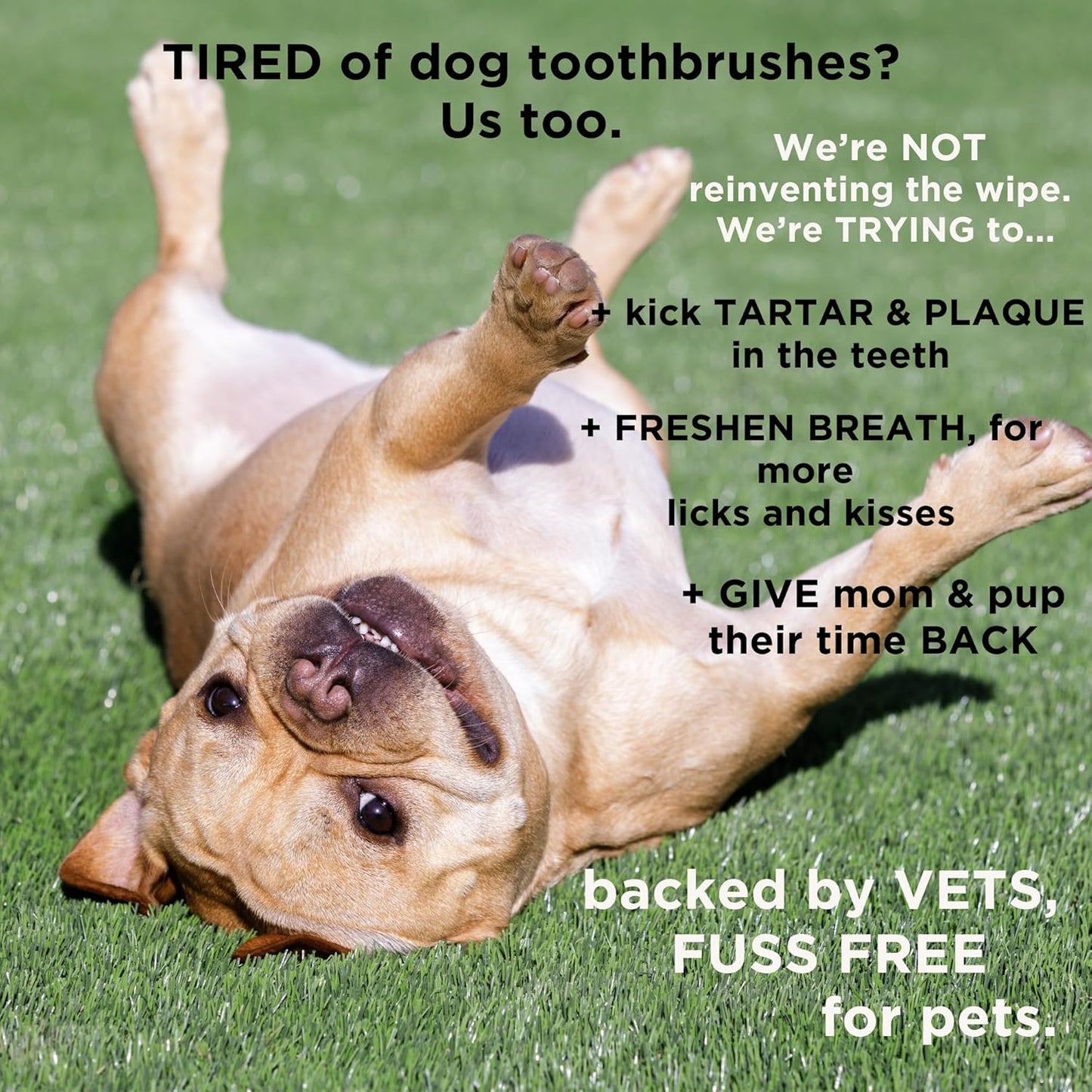 Dental Finger Wipes for Dogs and Cats, Hypoallergenic Teeth Cleaning Pet Wipes Designed to Freshen Breath, Remove Tartar & Plaque Buildup, Safe & Gentle Ingredients, 50 Count