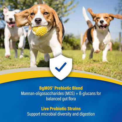 Doc Roy’s GI Synbiotics Probiotic & Prebiotic Granules for Dogs & Cats, Digestive & Immune Health Supplement with Live Cultures, BgMOS & Beta Glucans, Chicken Flavor, 454g Granules
