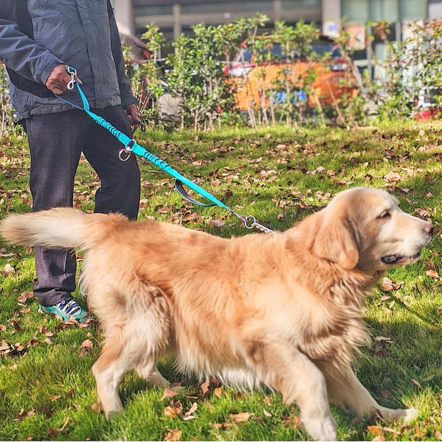Dual Dog Leash Coupler, Double Control Padded Handles for 2 Dogs, Heavy Duty No Tangle Splitter Dog Leash Extension, for Medium Large Dogs Walking- Turquoise