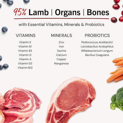 Stella & Chewy's Freeze-Dried Raw Dinner Patties - Dandy Lamb Recipe - High Protein Grain-Free Puppy & Dog Food - Perfect For Picky Eaters - 5.5 oz