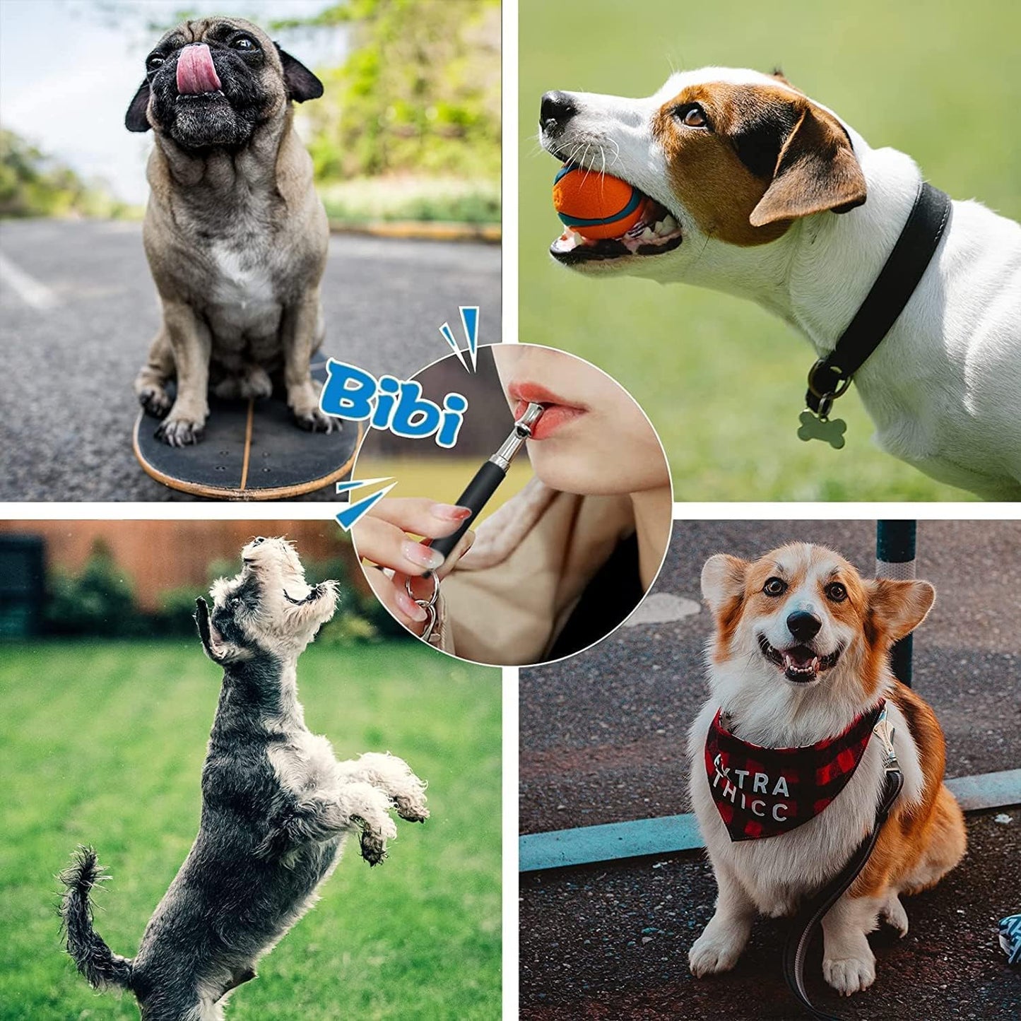 2 Pack Dog Whistle, Dog Whistle to Stop Barking Neighbors Dog, Adjustable Ultrasonic Silent Dog Whistle, Professional Recall Dog Training Whistles, with Lanyard (BD Dog Whistle)