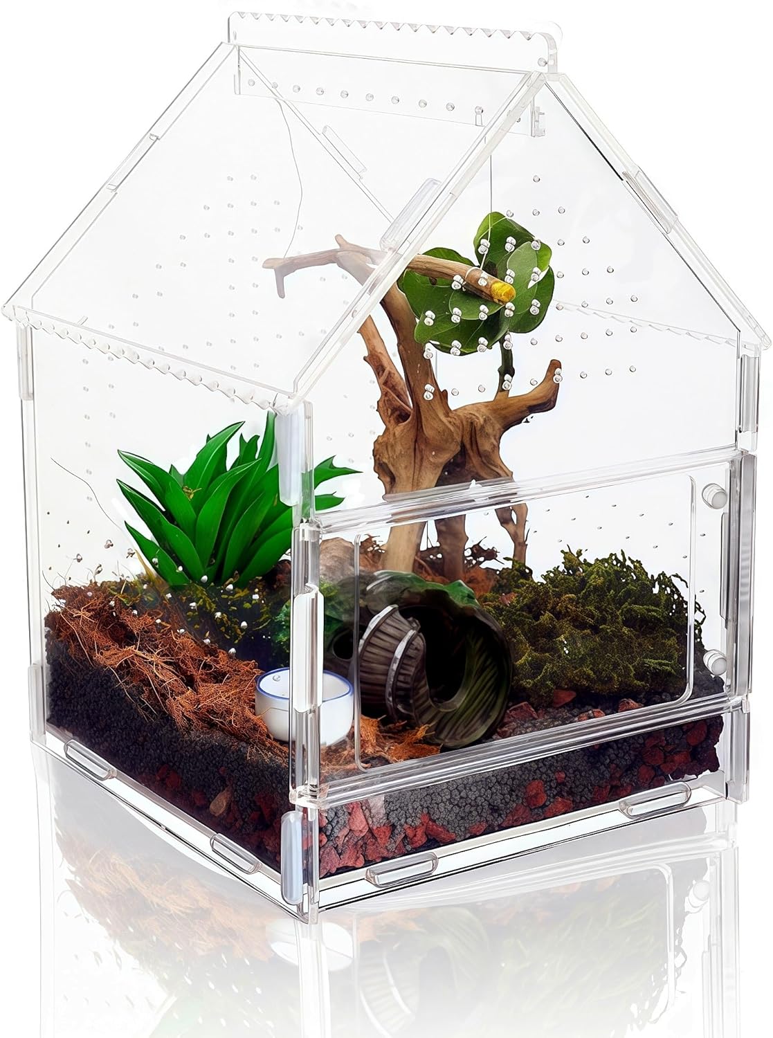 Acrylic Jumping Spider Enclosure with Magnetic Front Door - 360° View Reptile Terrarium for Tarantulas, Insects Hermit Crab - Includes Hanging Beam & Escape-Proof Ventilation (7.87x5.9x5.9 Inch)