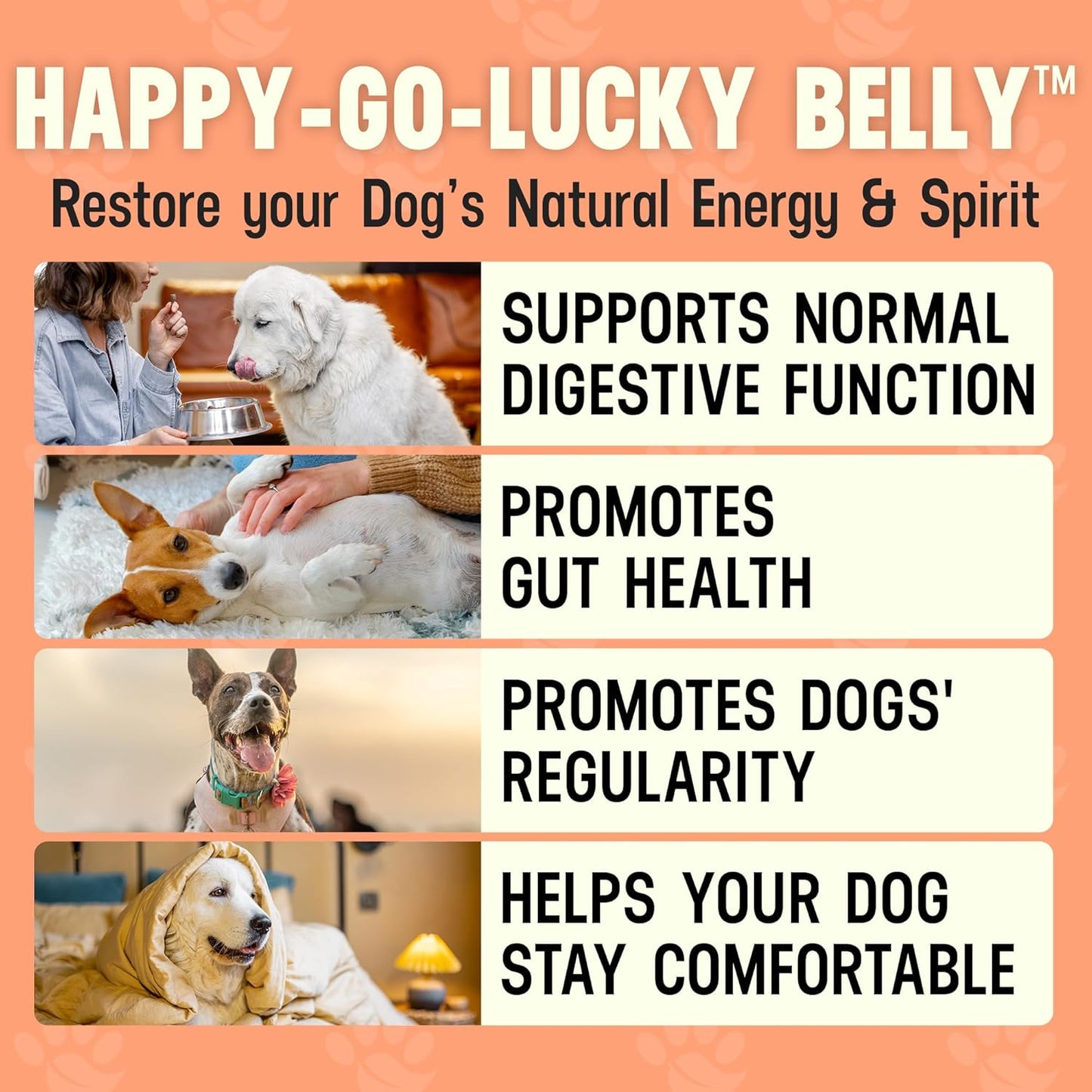 Better Dog Supplements Happy-Go-Lucky Belly by Cesar Millan – Natural Digestive Support Powder for Dogs – Upset Stomach Relief, Gut Balance & Regularity with Herbal Fiber Blend – 4oz (60-Day Supply)