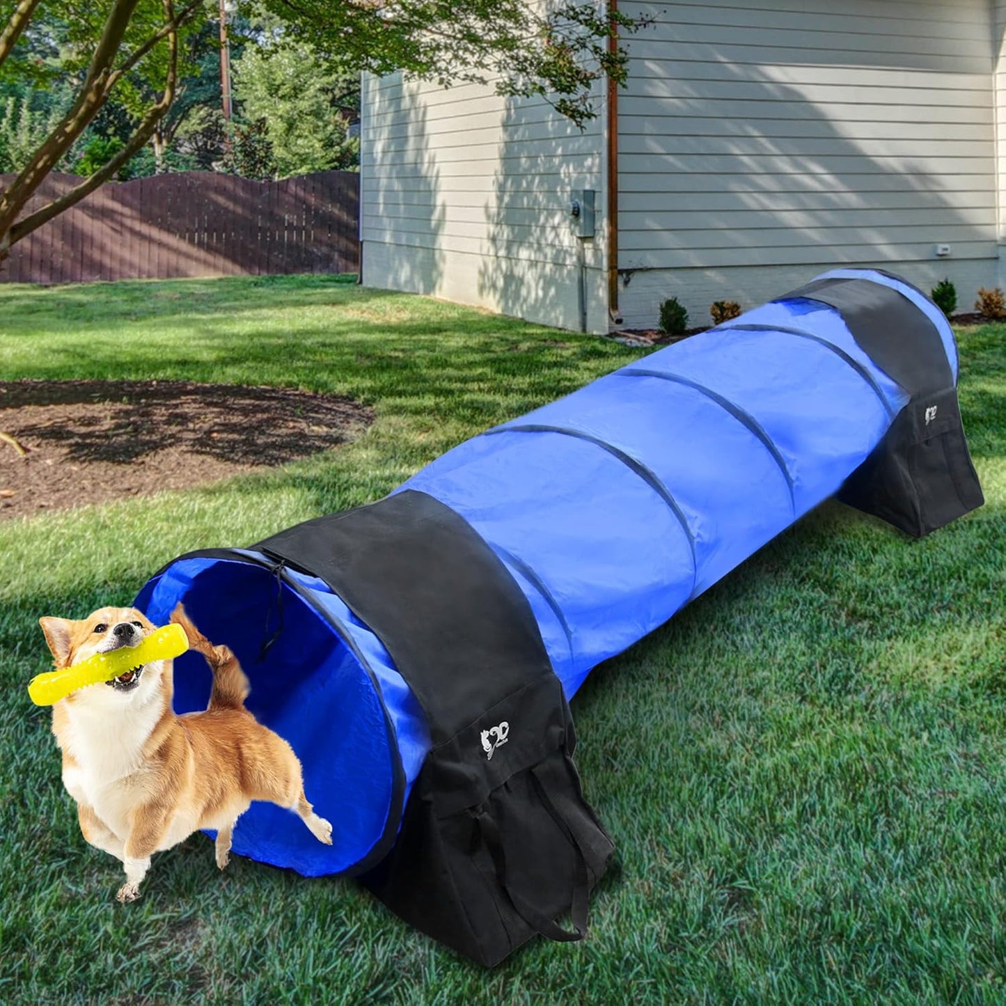 2 Pack Dog Agility Tunnel Sandbags, Dog Agility Equipment, Dog Agility Training (Sandbags,2 Pack)