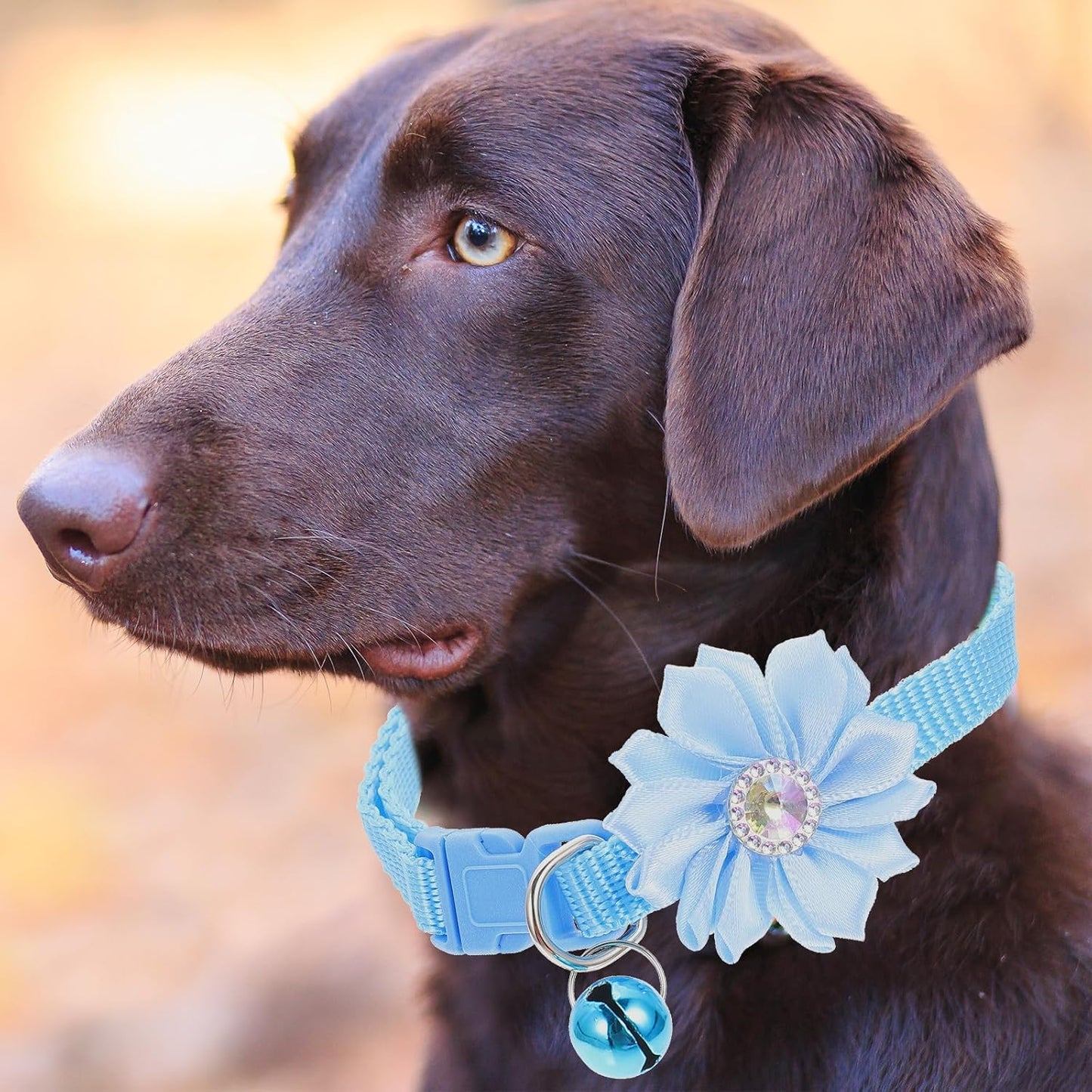 6Pcs Flower Design Cat Collars with Bell Adjustable Decorative Neck Chains for Kitten and Small Dogs Set for Pet Neck Decor and Everyday Use