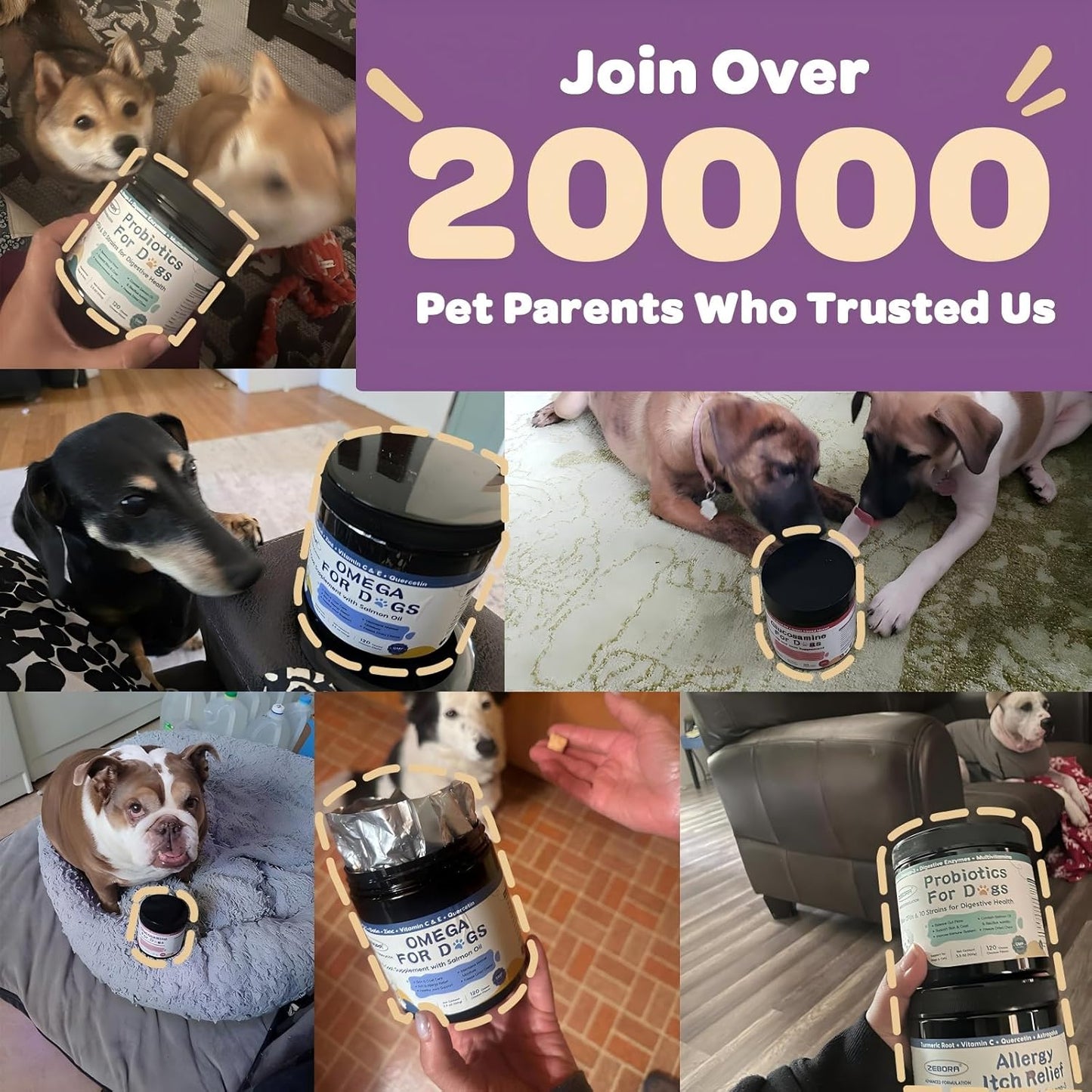 ZEBORA Probiotics for Dogs, Dog Probiotics for Digestive Health, with Pumpkin, Digestive Enzymes, Omega-3, Support Gut, Immune Health, Upset Stomach Relief, Occasional Diarrhea, 120 Freeze Dried Chews