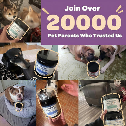 ZEBORA Probiotics for Dogs, Dog Probiotics for Digestive Health, with Pumpkin, Digestive Enzymes, Omega-3, Support Gut, Immune Health, Upset Stomach Relief, Occasional Diarrhea, 120 Freeze Dried Chews