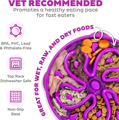 Outward Hound Large Slow Feeder Bowl, Puzzle Maze for Fast Eaters, Medium to Large Dogs, Helps Prevent Bloat & Aid Digestion, Holds 4 Cups Wet or Dry Food, Non-Slip, Made Without BPA, Purple