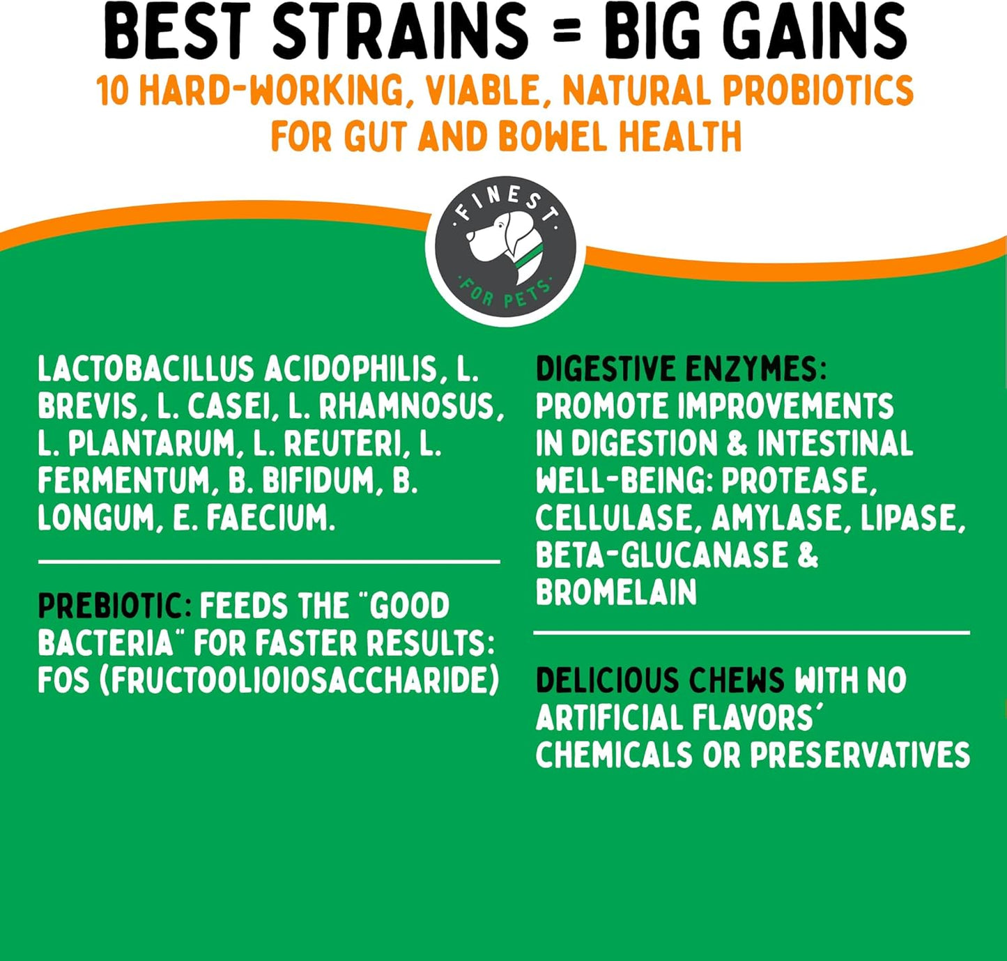TummyWorks Probiotic 120 Soft Chews for Dogs All Ages - Supports Digestive Health, Relieves Diarrhea, Constipation, Good for Itching, Allergies, Yeast Infections. Added Digestive Enzymes, Made in USA