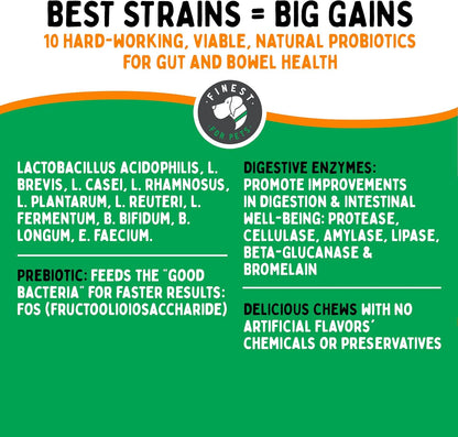 TummyWorks Probiotic 120 Soft Chews for Dogs All Ages - Supports Digestive Health, Relieves Diarrhea, Constipation, Good for Itching, Allergies, Yeast Infections. Added Digestive Enzymes, Made in USA