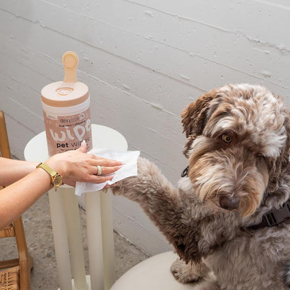 Dexypaws: Pet Wipes - Oatmeal & Vitamin E - 200ct Canister, Cleansing Wet Wipes, Cats & Dogs Grooming Care, Paws-Face-Ears-Nose, Moist-Gentle-Portable