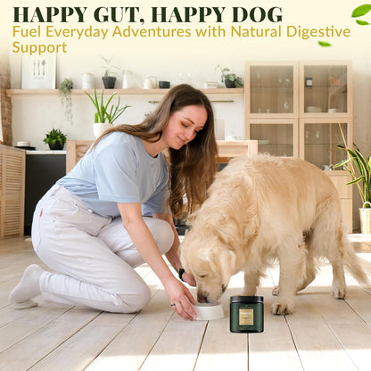 Barrow & Hound Probiotic Bites for Dogs – 6-Strain Probiotics & Pumpkin for Gut Health & Immune Support – 120 Soft Chews – Pumpkin Flavor