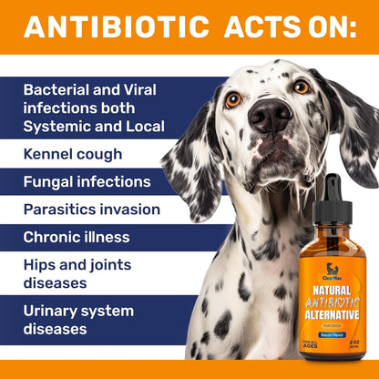 Dog Antibiotics for Infections, Allergies, Coughs – Natural Antibiotics for Dogs with Cranberry Provide Urination & Digestion Care – Natural Ingredients + Bacon Flavor – 2 Oz