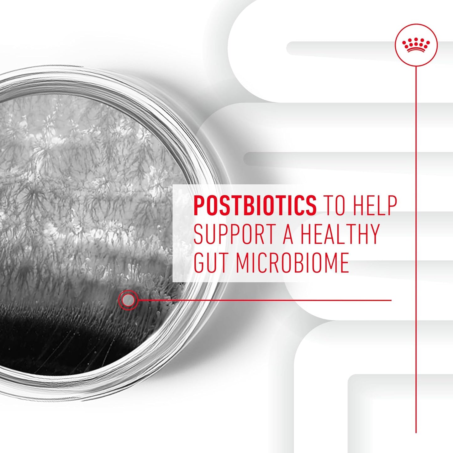 Royal Canin Digestive Dog Supplement Soft Chews for Adult Dogs, 60 Count