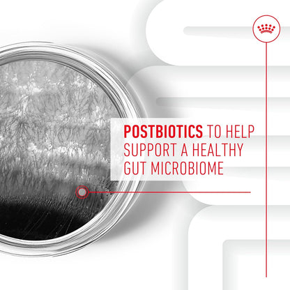 Royal Canin Digestive Dog Supplement Soft Chews for Adult Dogs, 60 Count