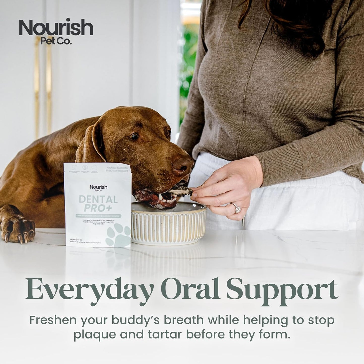 Nourish Pet Co. Dental Pro+ Pet Dental Powder, Cat & Dog Teeth Cleaning Powder, Breath Freshener, Fights Plaque and Tartar, Natural Ingredient Food Topper, 60 Servings