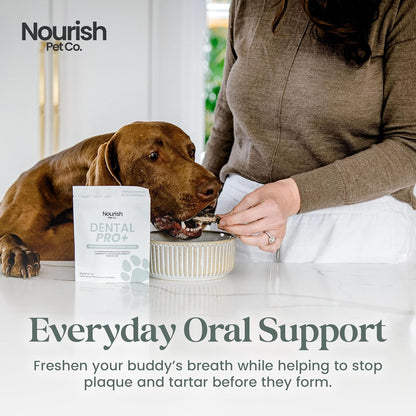 Nourish Pet Co. Dental Pro+ Pet Dental Powder, Cat & Dog Teeth Cleaning Powder, Breath Freshener, Fights Plaque and Tartar, Natural Ingredient Food Topper, 60 Servings