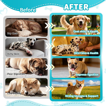 Flea and Tick Prevention Support for Dogs, Natural Flea Treatment Drops with Neem, Oregano for Puppy Oral Flea and Tick Treatment Supplement for All Breeds and Ages - Chicken Flavor, 2 FL.Oz