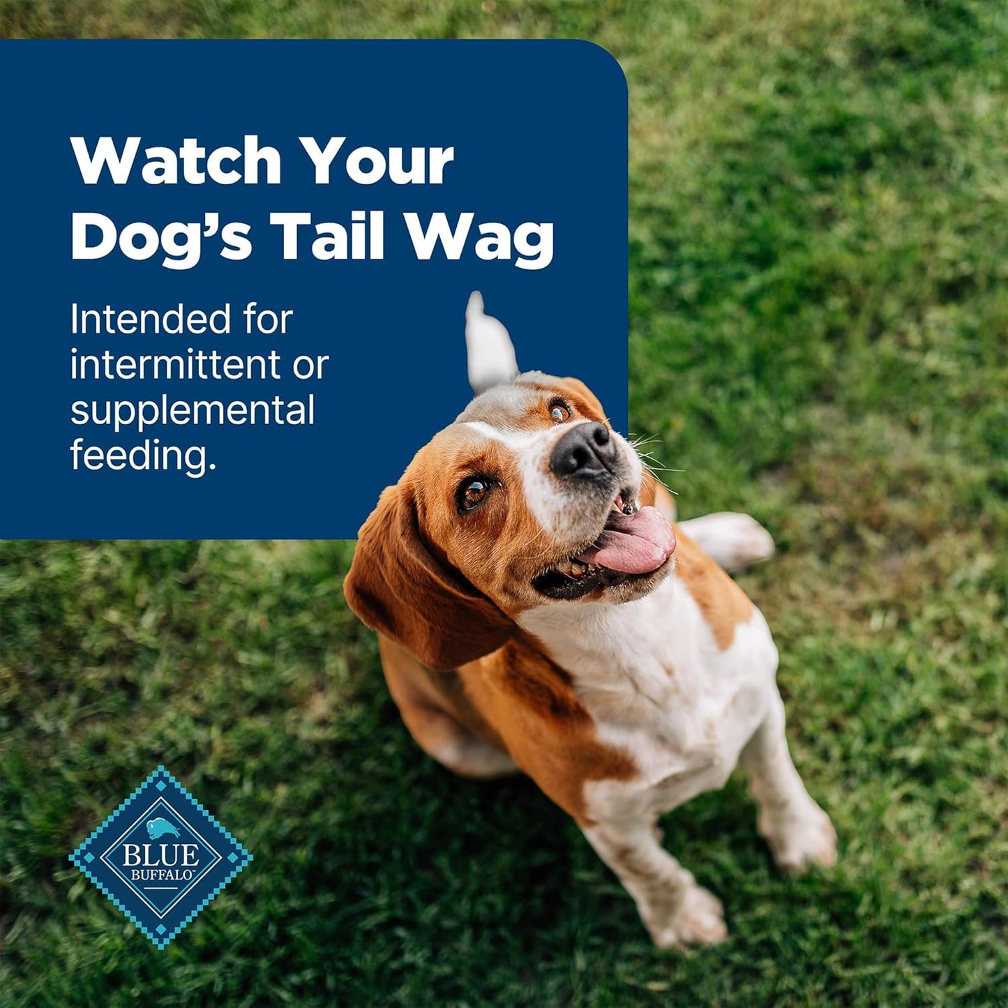 Blue Buffalo Nudges Grillers Natural Dog Treats with Real USA Beef, Made in the USA, Steak, 36-oz Bag