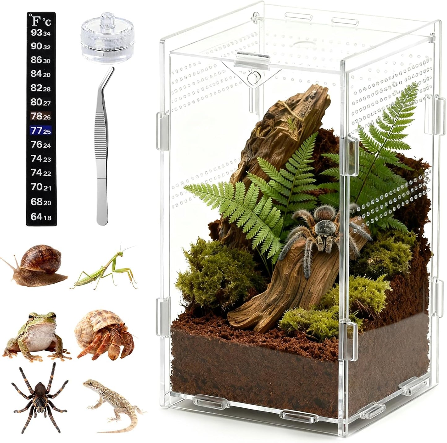 Acrylic Jumping Spider Enclosure Starter Kit-Small Reptile，Insect Terrarium & Spider Tank,Magnetic Door, All-Side Vent, Pre-Assembled for Spiderling,Mantis,Tarantula, Snail, (7.8 * 4.7 * 4.7)