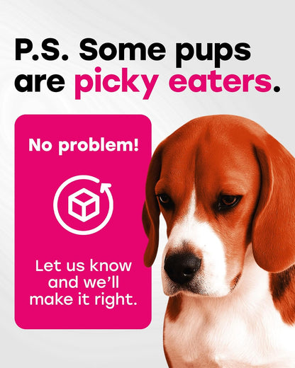 24-in-1 Complete Daily Multivitamin Dog Chews – Bacon Flavor – All-in-One PhD-Endorsed Support for Joints, Skin & Coat, Digestion, Immunity, Gut Health, Glucosamine, Omega-3, Probiotics - 140 Chews