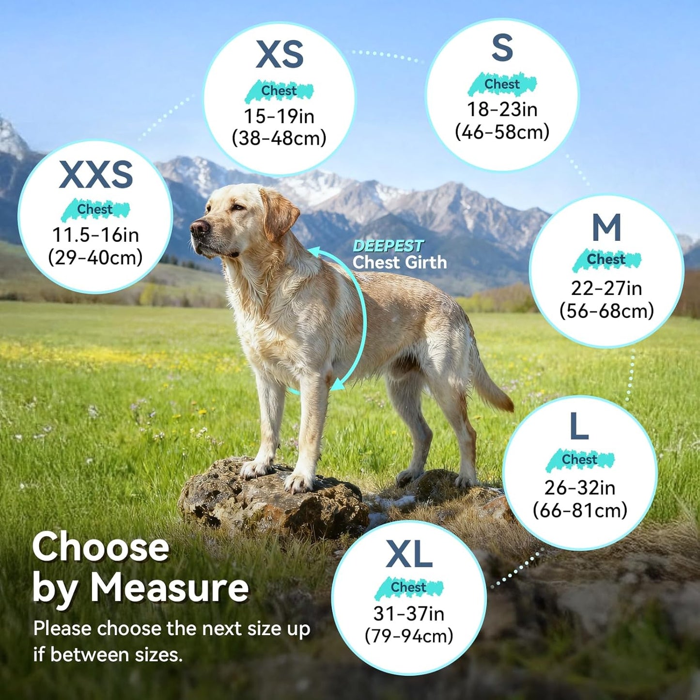 VIVAGLORY Dog Fleece Coat + Short Dog Leash, Easy to Take on and Off, Padded Neoprene & Heavy Duty